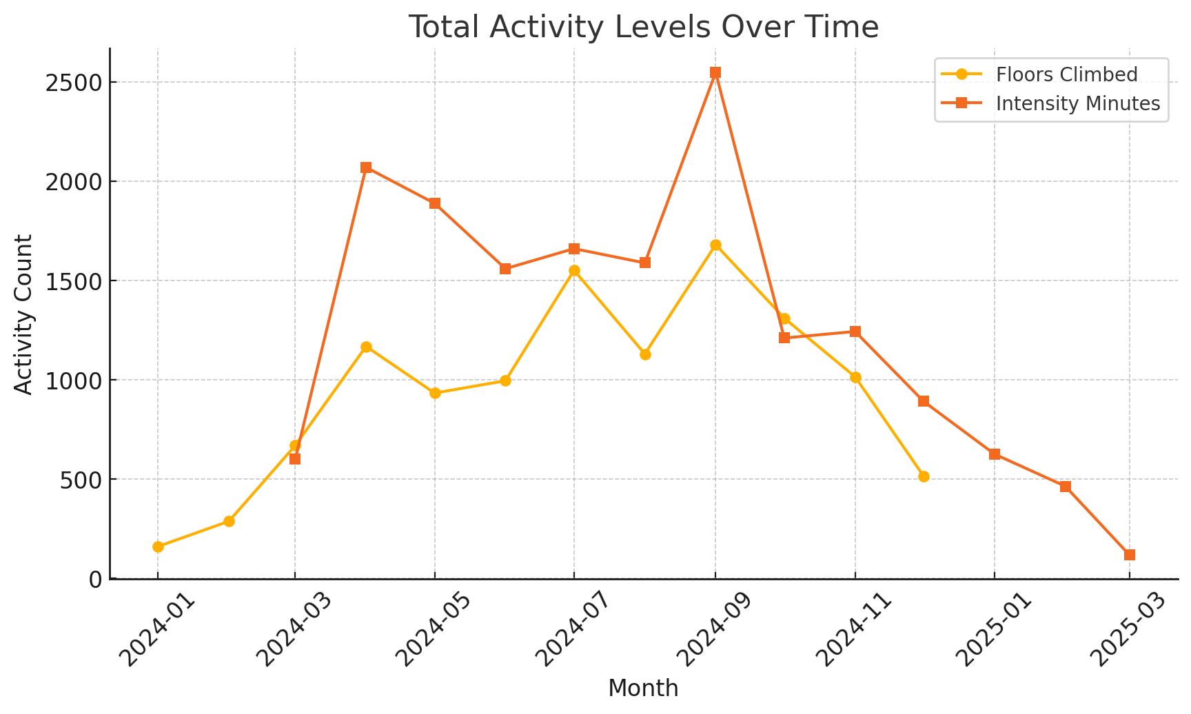 Monthly Activity Trends